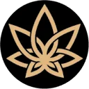 3Chi
